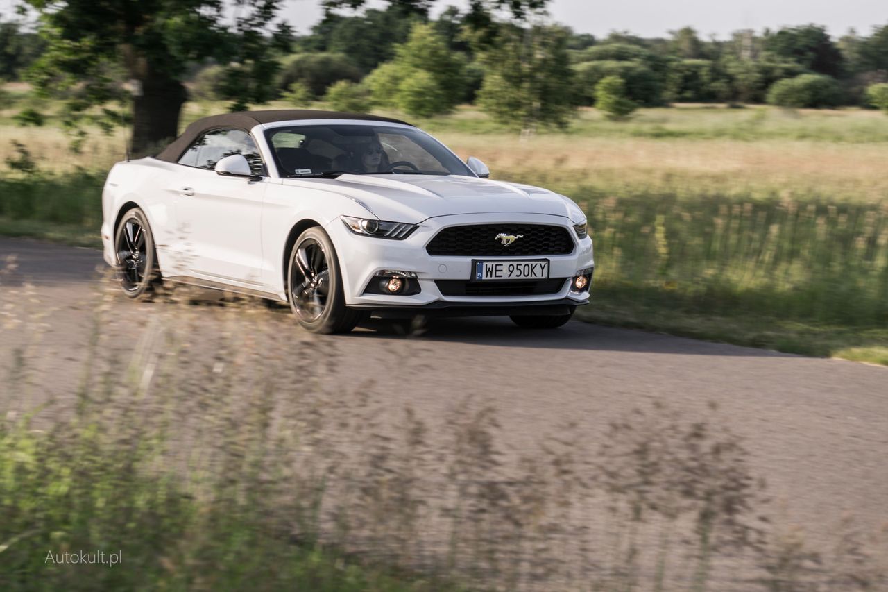 Otwarte nadwozie wersji Convertible nie zaburza klasycznej, wulgarnej linii Mustanga.