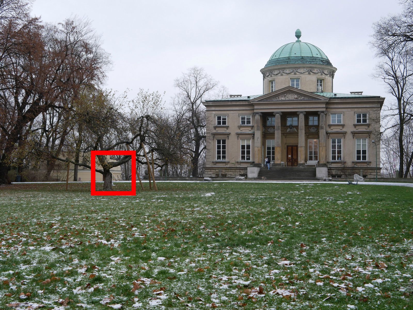 Panasonic Lumix G80 jest bliziutko ideału [test] 13