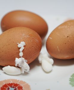 Oto ile jajek możesz zjeść. Dietetyk podał konkretną liczbę