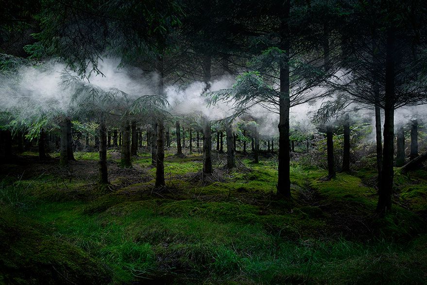 Przez wprowadzenie mniej lub bardziej subtelnych elementów do zdjęć krajobrazowych Ellie Davies w ciekawy sposób ożywia zdjęcia lasu.