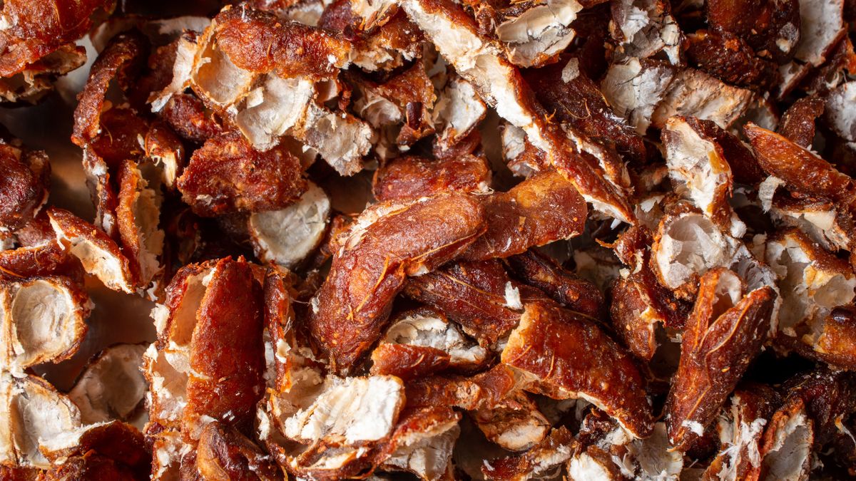 Tamaryndowiec cieszy się małą popularnością w Polsce