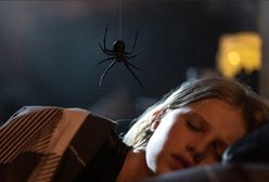 Krwiożerczy pająk sieje spustoszenie. "Gniazdo Pająka" już w kinach