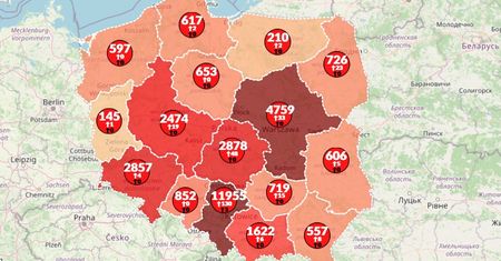 Koronawirus w Polsce i na świecie. Mapa zakażeń pokazuje już prawie 9 mln chorych