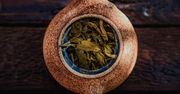 Herbata pomoże żyć dłużej, choć znaczenie ma, jak ją pijesz