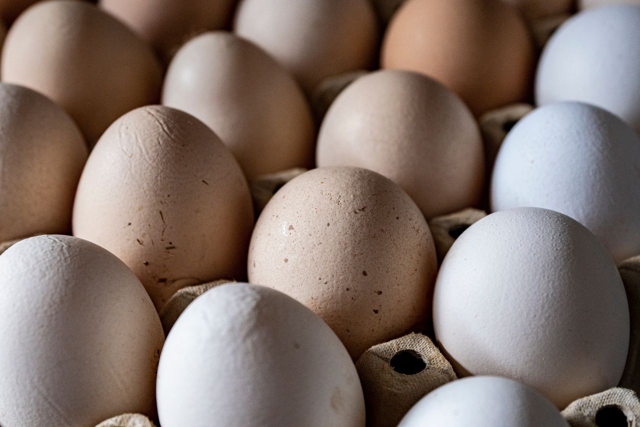 GIS ostrzega: Salmonella na jajkach popularnej marki! Sprawdź, czy masz ten produkt w domu