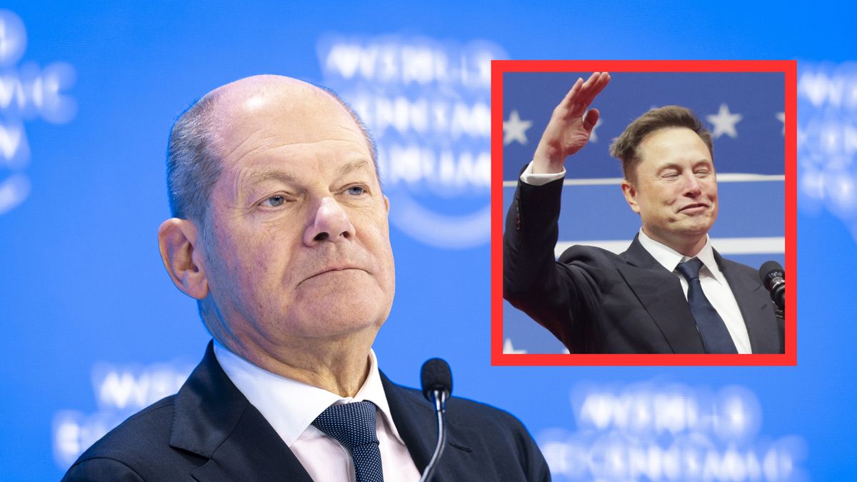 Elon Musk otwarcie nawołuje do odejścia Scholza