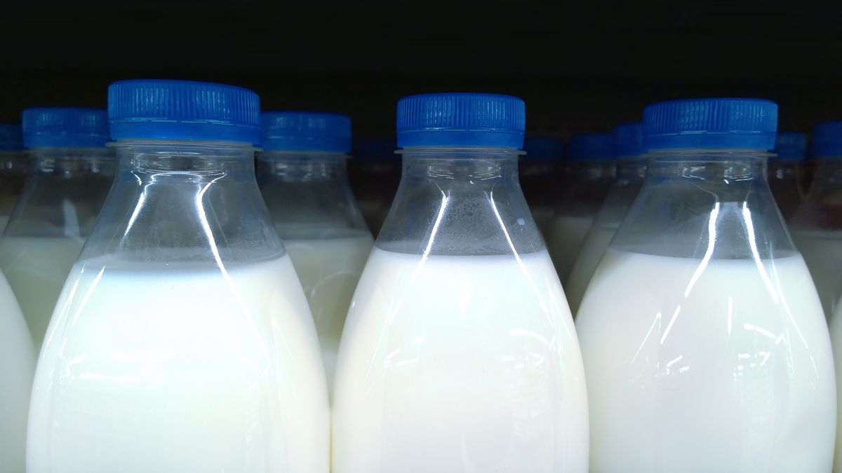 Bottles of healthy farmers milk with blue caps on black background. Supermarket shelves. Fresh food. Retail industry. Grocery store. Sale. Inflation and price increases concept. Healthy eating.Bottles of healthy farmers milk with blue caps on black background. Supermarket shelves. Fresh food. Retail industry. Grocery store. Sale. Inflation and price increases concept. Healthy eating.NVS