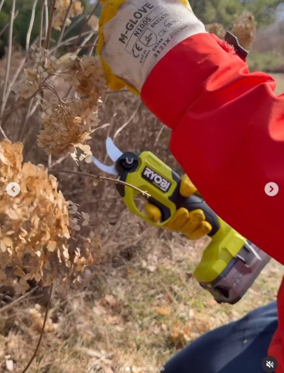 Andrzej Piaseczny poczuł wiosnę w ogrodzie