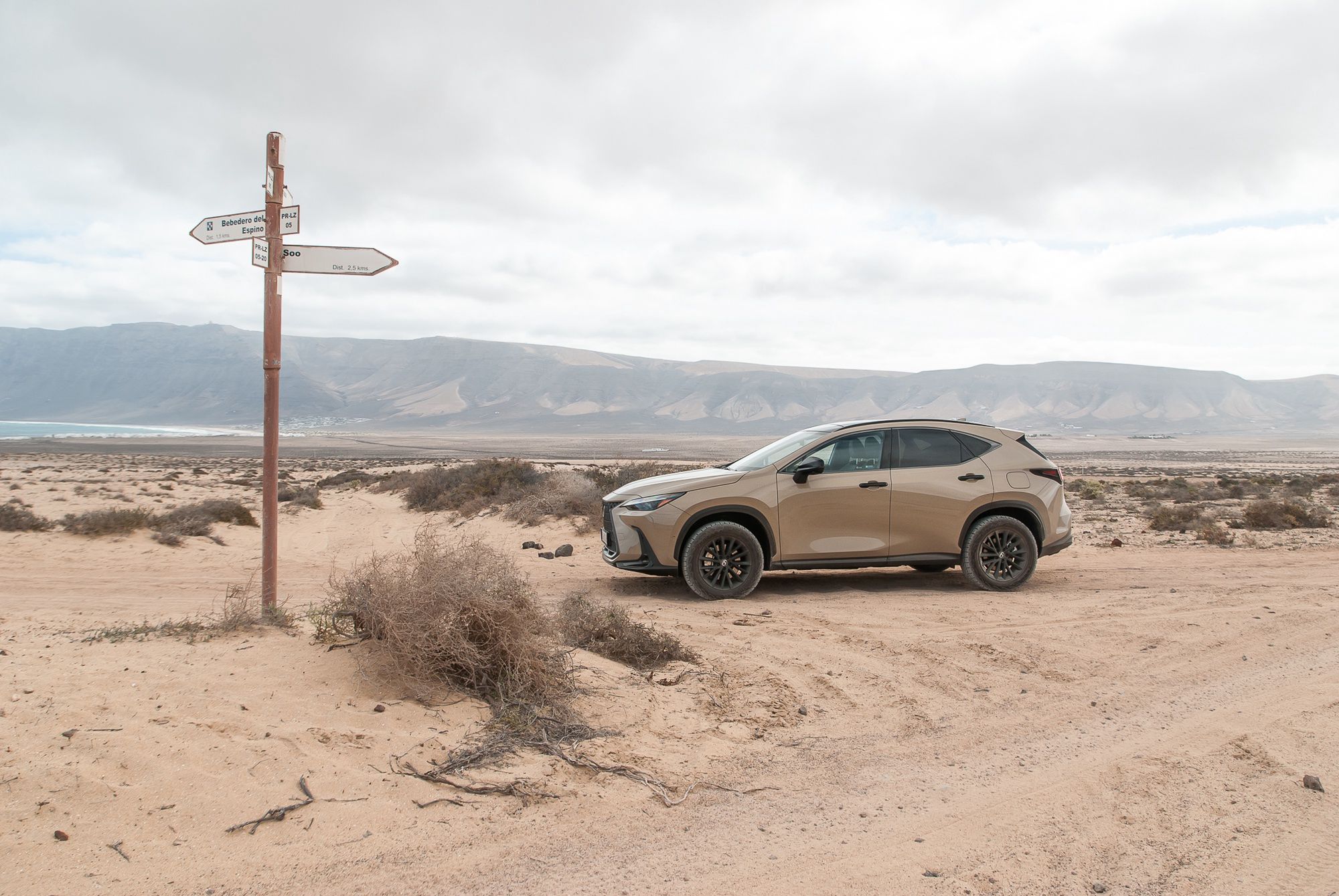 Lexus NX Overtrail
