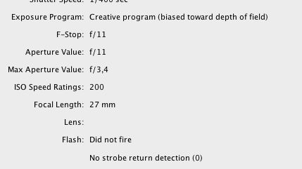 Plotki: nowy Olympus z Mikro 4/3 nazywać się będzie... 1
