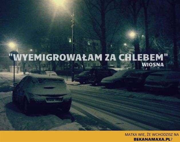 Wiosna nie nadeszła, internauci wyżywają się w memach. Zobaczcie najlepsze z nich 17