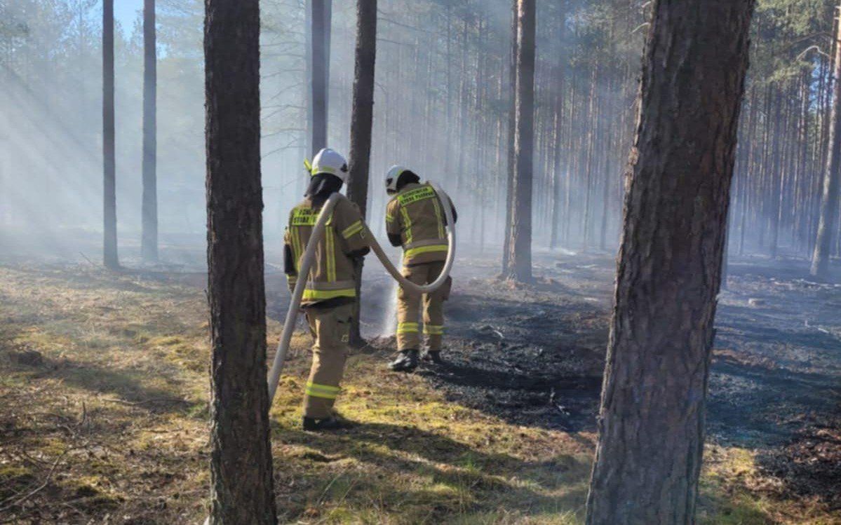 Pożar lasu w miejscowości Kaleje. Spłonęła ściółka leśna. Na miejscu interweniowali strażacy