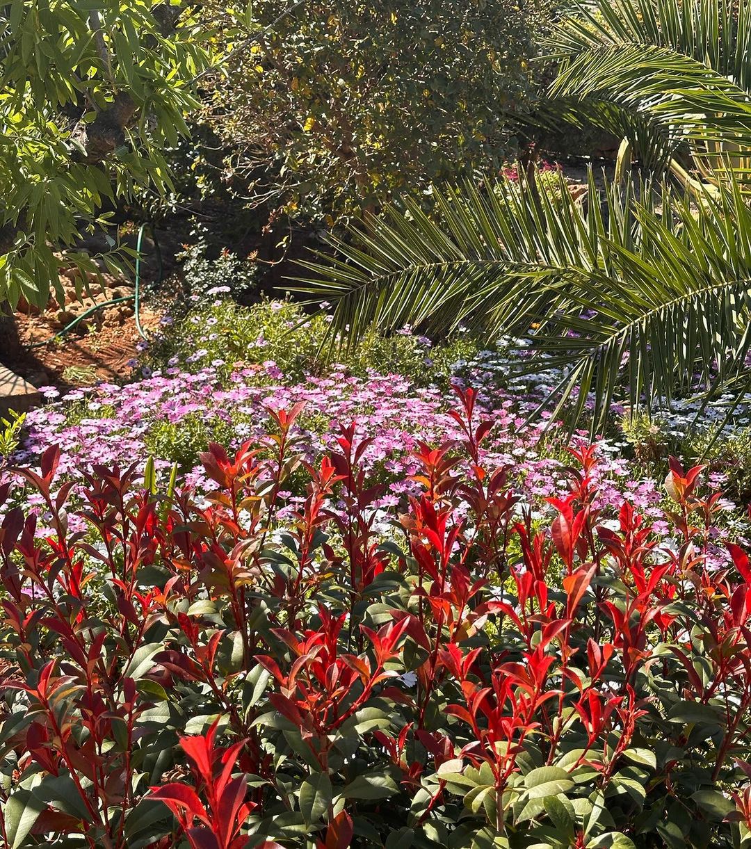 Hiszpański dom Agaty Młynarskiej