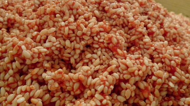 Uczeni będę produkować ludzką krew z ryżu 1