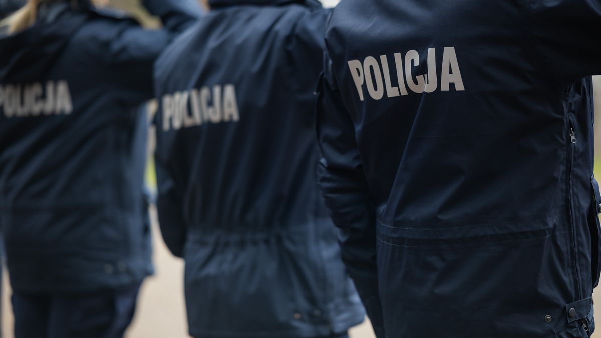 policja, napis, mundurowe, niebiescy, ochrona, polska, mundur