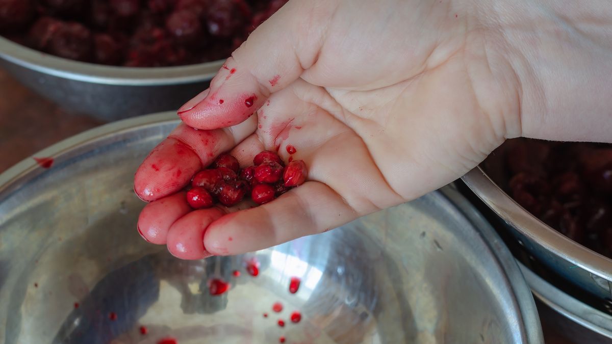 Woman with Cherry pips over a metal bowl.
Woman with Cherry pips over a metal bowl. Pips removed from ripe red berries in a woman's hand. Homemade food concept.
Mikhail  Dmitriev