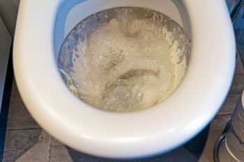 Wieczorem wsyp do WC. "Wyżre" cały brud, będzie lśnić jak w hotelu