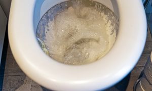 Wieczorem wsyp do WC. "Wyżre" cały brud, będzie lśnić jak w hotelu