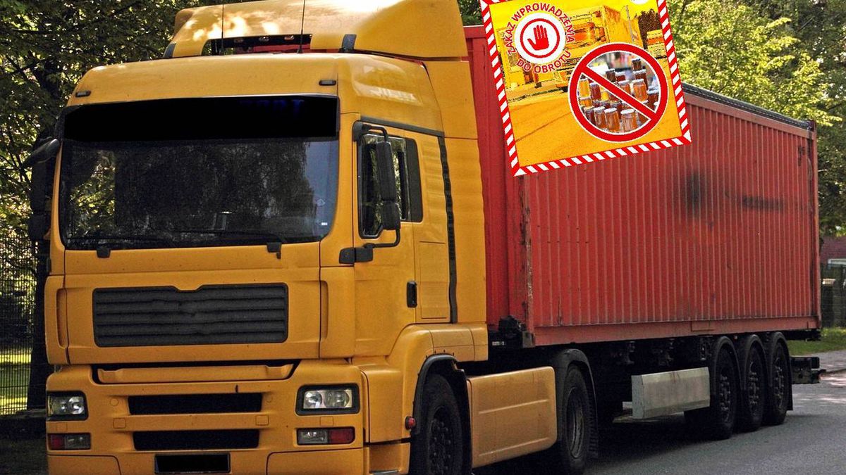 Ogromna partia miodu z Ukrainy w rękach służb