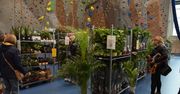 Tarnów: Festiwal Roślin w hali sportowej. Przez weekend można kupić wyjątkowe okazy