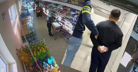 Obywatel Mołdawii złapany za kradzieże. Działał z synem