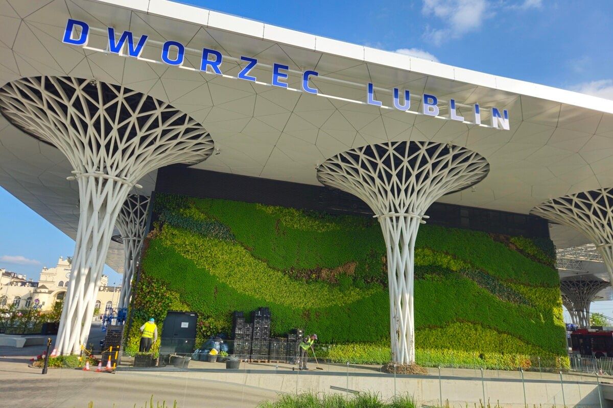 Wymiana uschniętych roślin na zielonej ścianie Dworca Lublin