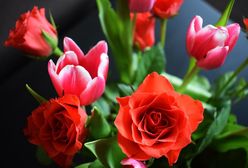 Barbórka. 4 grudnia imieniny Barbary. Najlepsze życzenia