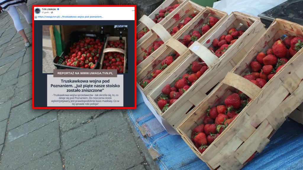 Pod Poznaniem ma miejsce wojna handlarzy truskawek