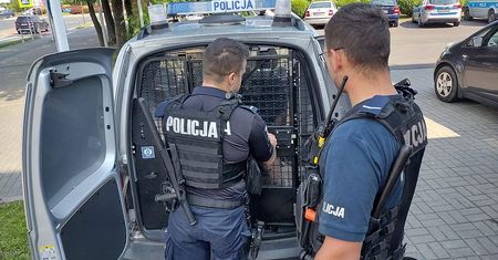 Żory: Z nożem przeciw partnerowi. Dramat rodzinny