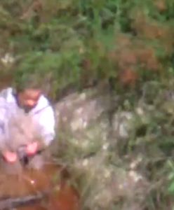 Trzy dni w lesie. Trzylatek z Australii zadziwił świat