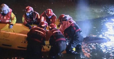 Utknął na mieliźnie. Nagranie akcji ratunkowej wieloryba