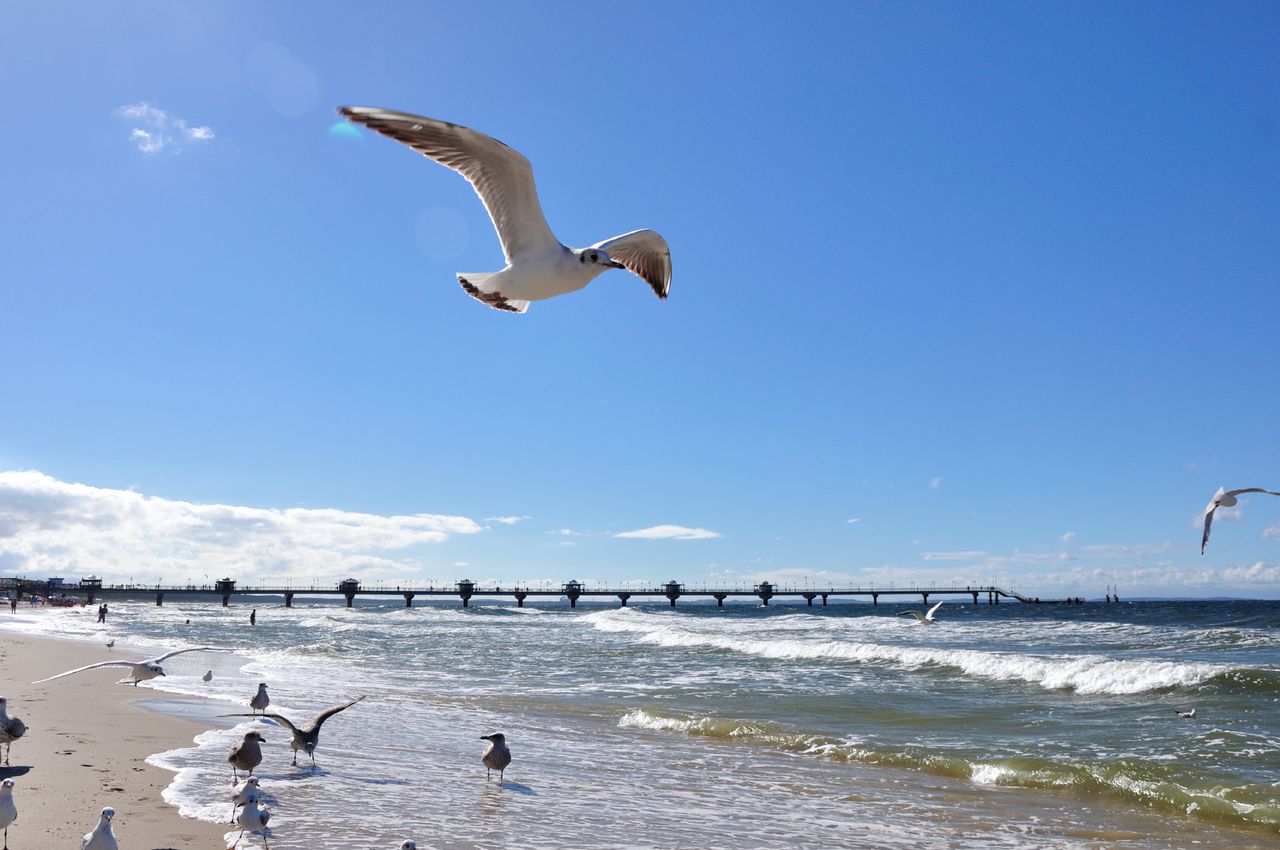 Nowe zasady na bałtyckiej plaży. Za złamanie grozi wysoka grzywna