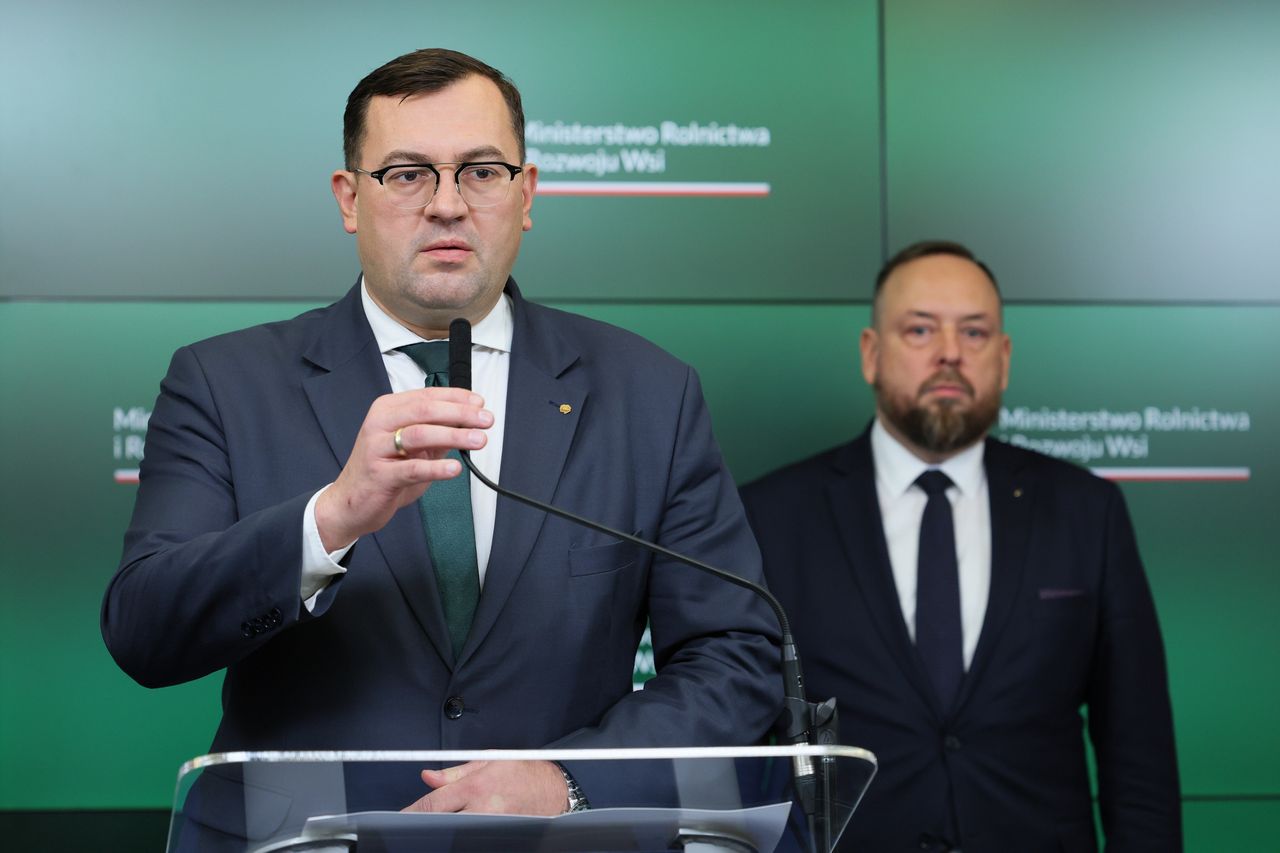 Zakażony dzik podrzucony. Będzie śledztwo w tej sprawie