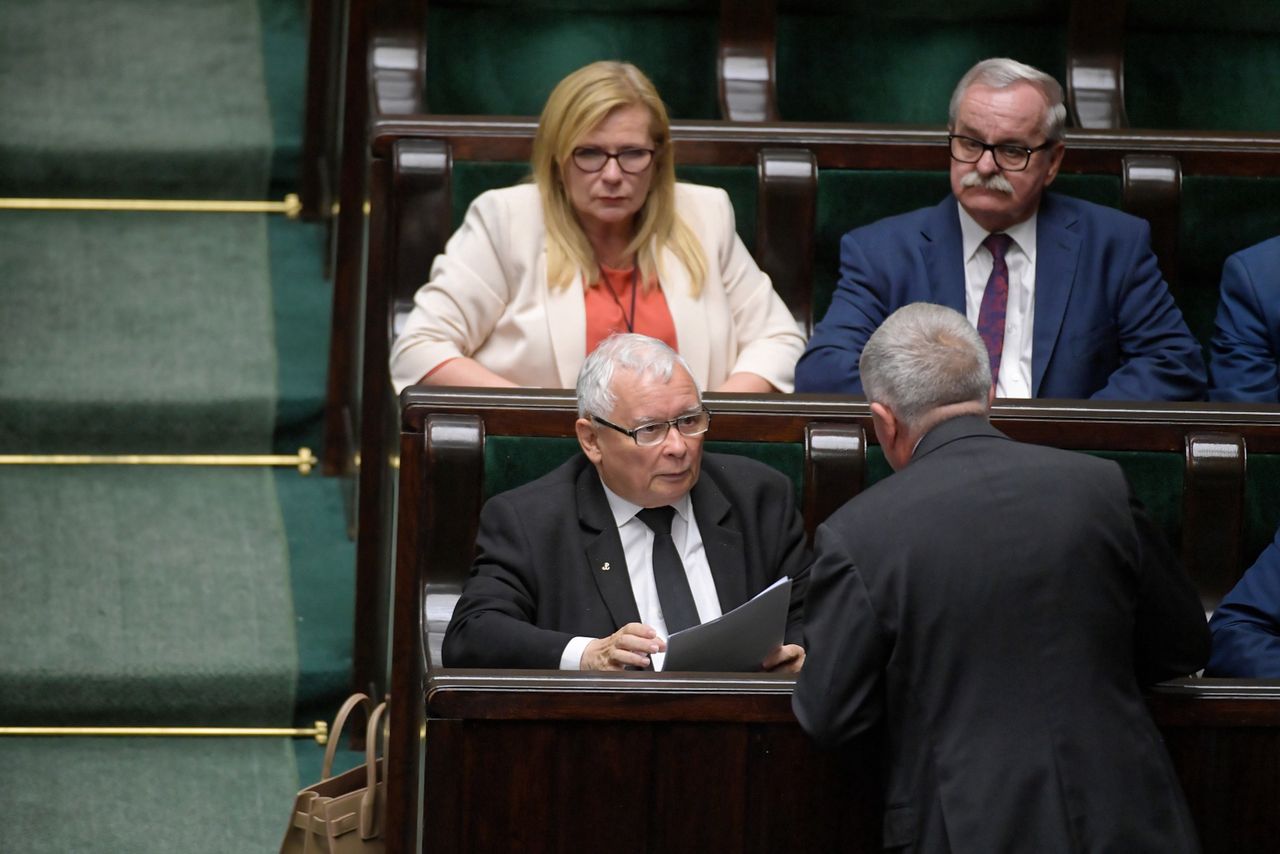 "Piątka dla zwierząt". Sejm będzie głosował (NA ŻYWO)