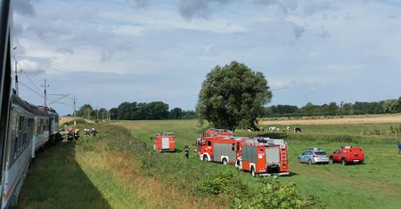 Borkowice. Osobówka wjechała pod pociąg. Nie żyje jedna osoba