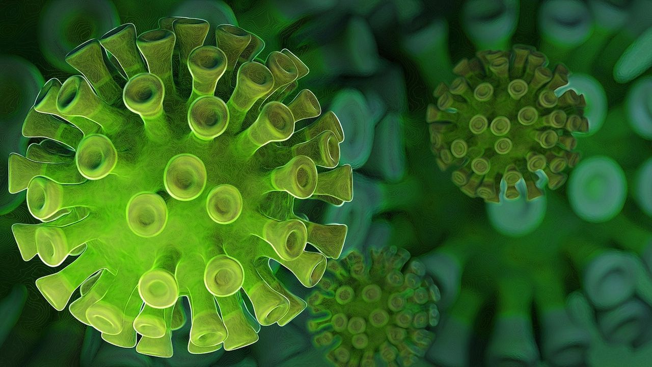 Przeciwciała koronawirusa obecne w organizmie przez 5 miesięcy? Naukowcy publikują badania