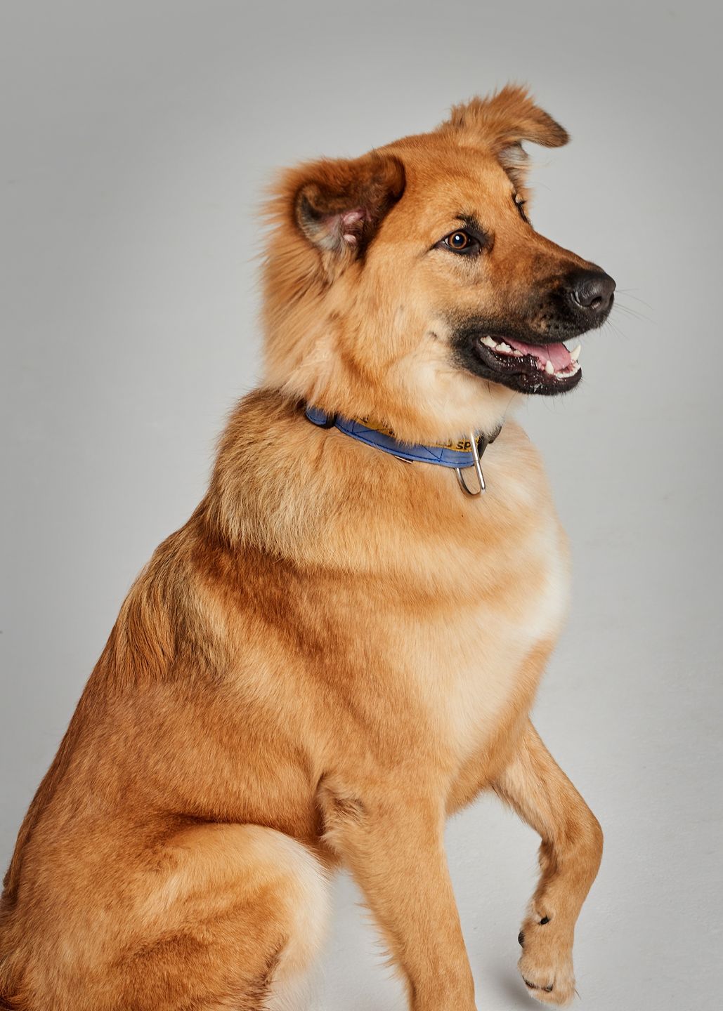 Mabaya