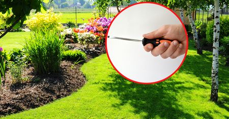 Wbij śrubokręt w ziemię. Ten test uratuje twój trawnik