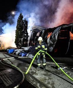 Przeszło 1200 pożarów i kilka ofiar. Tragiczny początek roku