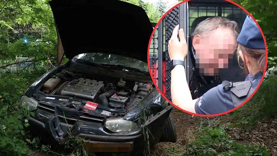 Pijany kierowca alfa romeo wjechał w las