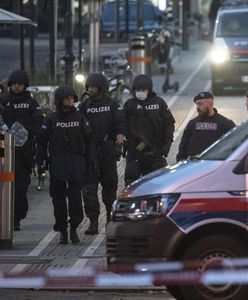 Austria. Wiedeń po zamachu. "Die Welt": przestańmy się oszukiwać