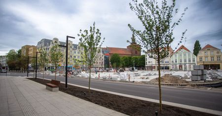 Kolejne nasadzenia na Starym Rynku w Słupsku. Co nowego na modernizowanym placu?