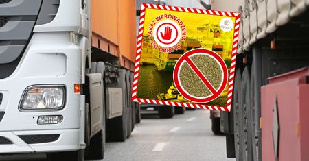 Zioła i przyprawy z Egiptu jechały do Polski. To wykryły służby