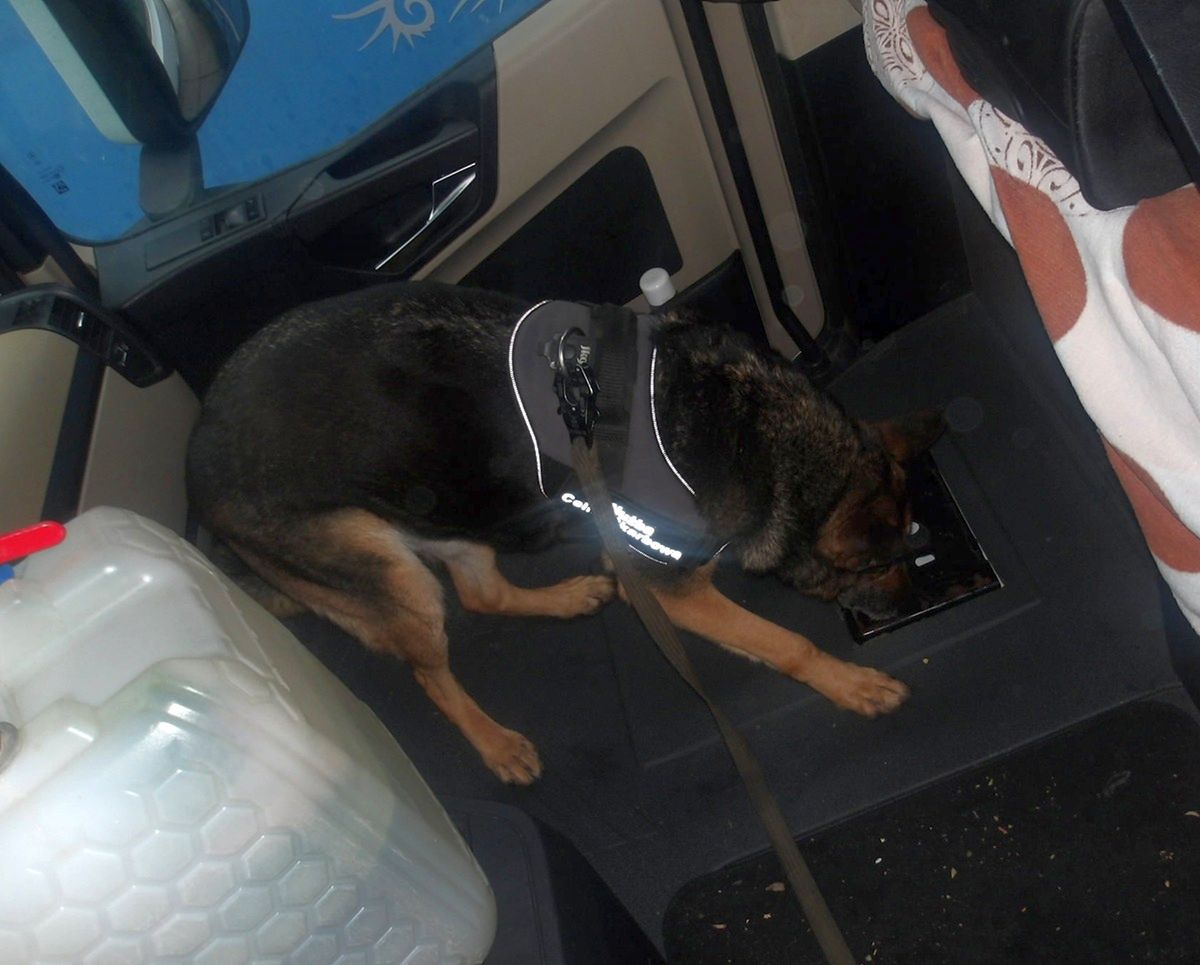 Koroszczyn: SCS udaremniła przemyt ponad 3,4 tys. paczek papierosów ukrytych w ciężarówkach