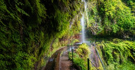 Madera: Levada do Rei prowadzi do miejsca, które wygląda jak ukryty świat wyspy