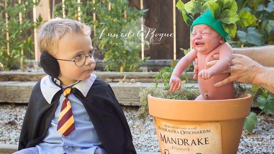 Sesja fotograficzna inspirowana książkami o Harrym Potterze