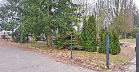 Złodzieje nie mieli wstydu. Zdjęcia z cmentarza w Manieczkach obiegły sieć