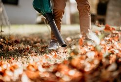 Prace w ogrodzie we wrześniu. Przygotuj się na jesień