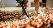 Prace w ogrodzie we wrześniu. Przygotuj się na jesień