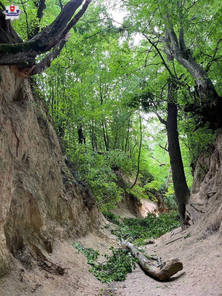 Konar spadł na wycieczkę szkolną w wąwozie w Kazimierzu Dolnym
